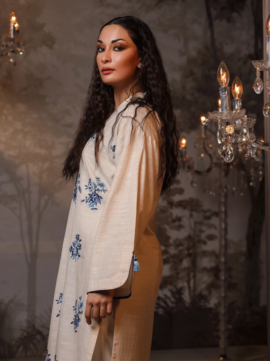 1pc Stitched Basic Dyed Embroidered Khaddar Shirt