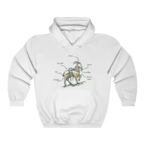 Anatomy Hoodie