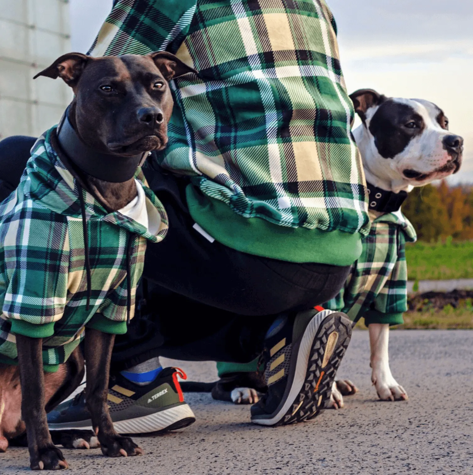 Plaid Human Hoodies